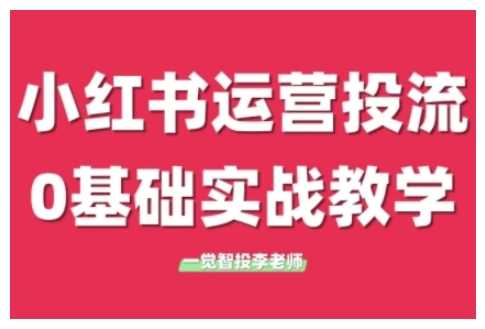 小红书运营投流，小红书广告投放从0到1的实战课，学完即可开始投放-虫2小屋