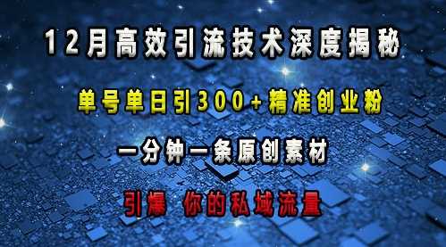 最新高效引流技术深度揭秘 ，单号单日引300+精准创业粉，一分钟一条原创素材，引爆你的私域流量-虫2小屋