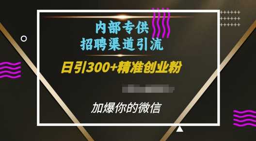 内部招聘渠道日引流300+创业粉，加爆你的微信【揭秘】-虫2小屋