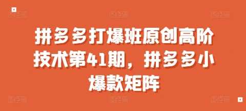 拼多多打爆班原创高阶技术第41期，拼多多小爆款矩阵-虫2小屋