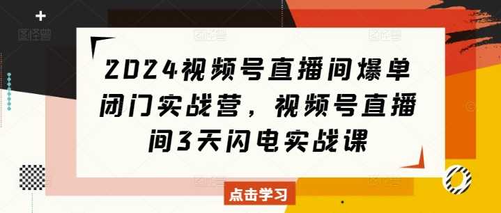 2024视频号直播间爆单闭门实战营，视频号直播间3天闪电实战课-虫2小屋