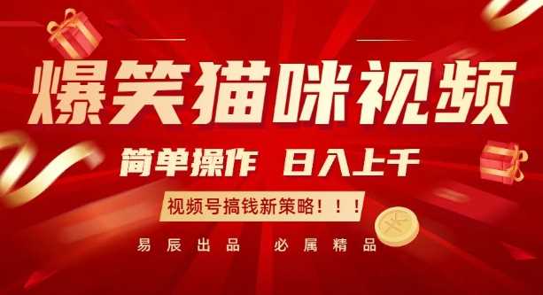 爆笑猫咪视频：简单操作，日入过K，视频号搞钱新策略【揭秘】-虫2小屋