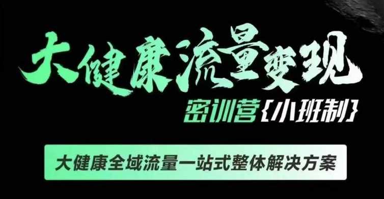 千万级大健康变现课线下课，大健康全域流量一站式整体解决方案-虫2小屋