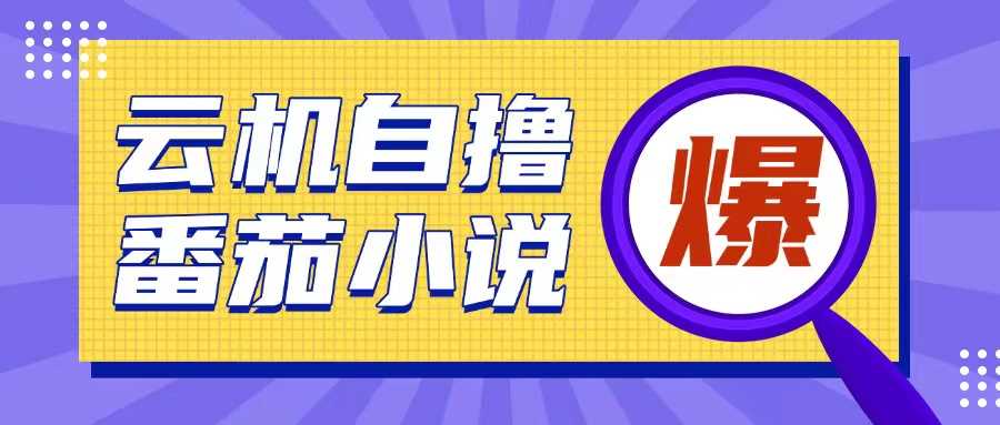 首发云手机自撸小说玩法，10块钱成本可撸200+收益操作简单【揭秘】-虫2小屋