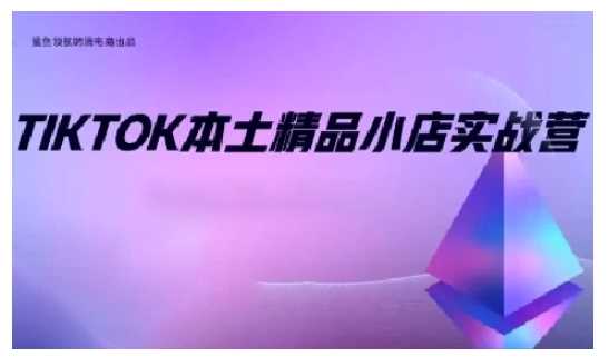 TikTok本土精品小店出海实战营，从入门到高阶，不止0-1!-虫2小屋
