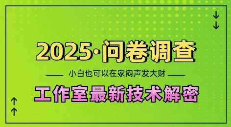 2025问卷调查最新工作室技术解密：一个人在家也可以闷声发大财，小白一天2张，可矩阵放大【揭秘】-虫2小屋