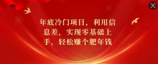 年底冷门项目，利用信息差，实现零基础上手，轻松赚个肥年钱【揭秘】-虫2小屋