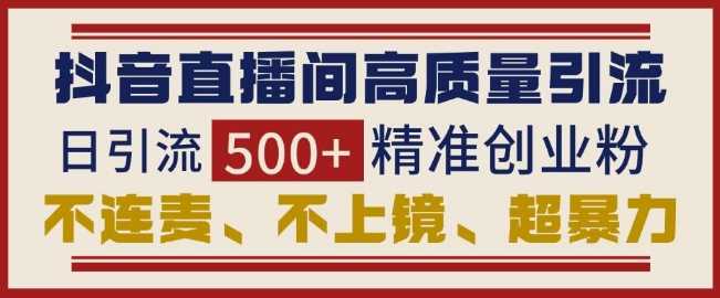抖音直播间引流创业粉，无需连麦、不用上镜、超暴力，日引流500+高质量精准创业粉-虫2小屋