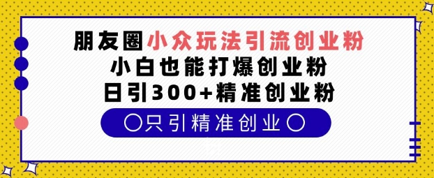 朋友圈小众玩法引流创业粉，小白也能打爆创业粉，日引300+精准创业粉【揭秘】-虫2小屋