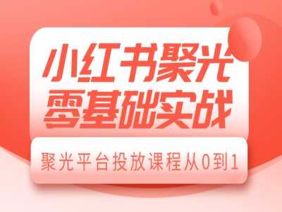 小红书聚光零基础实战，聚光平台投放课程从0到1-虫2小屋