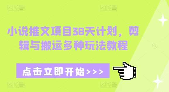 小说推文项目38天计划，剪辑与搬运多种玩法教程-虫2小屋