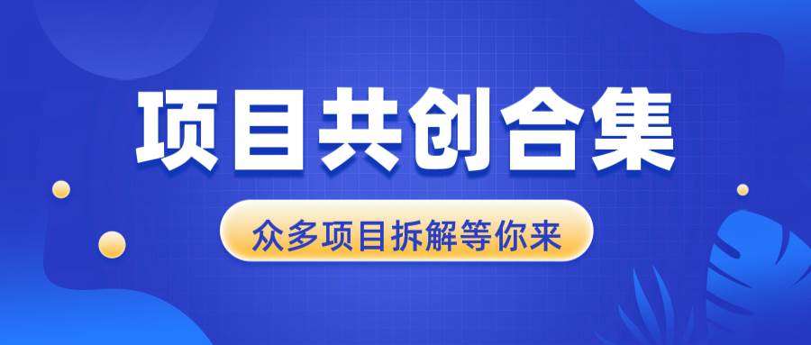 （13778期）项目共创合集，从0-1全过程拆解，让你迅速找到适合自已的项目-虫2小屋