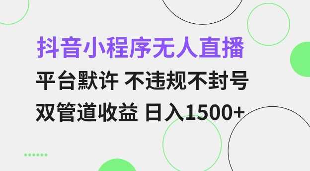 抖音小程序无人直播 平台默许 不违规不封号 双管道收益 日入多张 小白也能轻松操作【仅揭秘】-虫2小屋