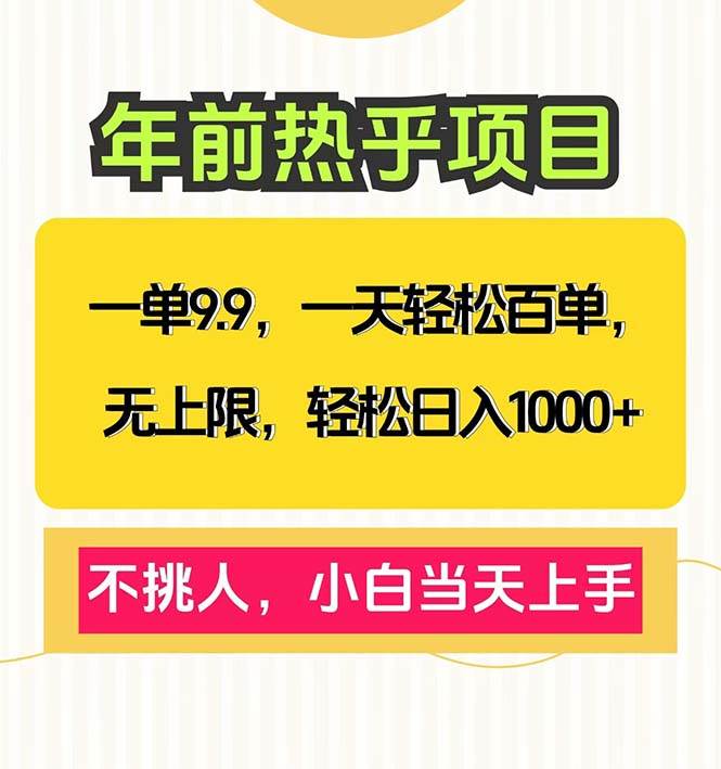 （13795期）一单9.9，一天百单无上限，不挑人，小白当天上手，轻松日入1000+-虫2小屋