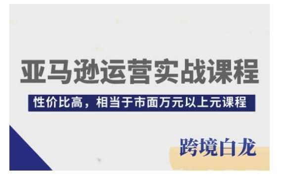 亚马逊运营实战课程，亚马逊从入门到精通，性价比高，相当于市面万元以上元课程-虫2小屋