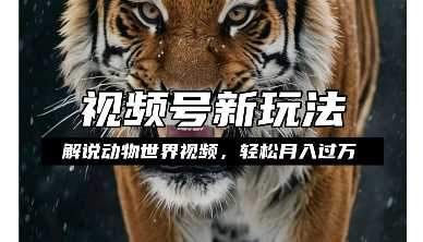 利用动物世界解说视频，赚分成计划收益，轻松月入过W，操作简单【揭秘】-虫2小屋