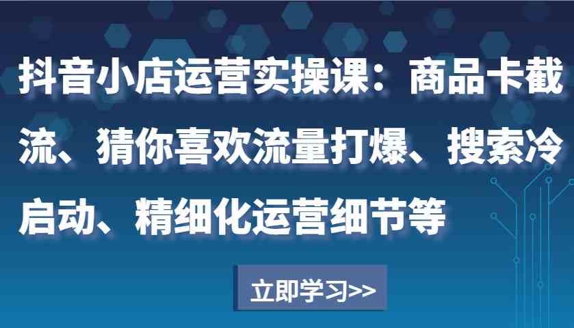 抖音小店运营实操课：商品卡截流、猜你喜欢流量打爆、搜索冷启动、精细化运营细节等-虫2小屋