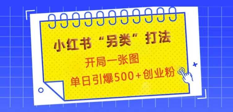小红书“另类”打法，开局一张图，单日引爆500+精准创业粉【揭秘】-虫2小屋