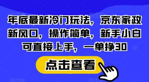 年底最新冷门玩法，京东家政新风口，操作简单，新手小白可直接上手，一单挣30【揭秘】-虫2小屋