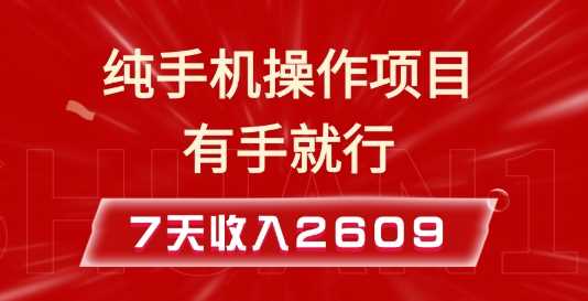 纯手机操作的小项目，有手就能做，7天收入2609+实操教程【揭秘】-虫2小屋