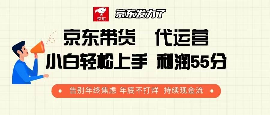 （13833期）京东带货 代运营 利润55分 告别年终焦虑 年底不打烊 持续现金流-虫2小屋