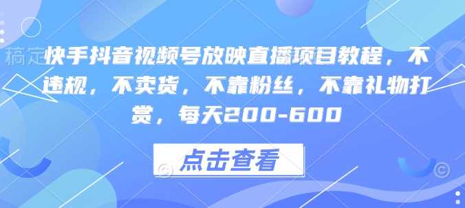快手抖音视频号放映直播项目教程，不违规，不卖货，不靠粉丝，不靠礼物打赏，每天200-600-虫2小屋