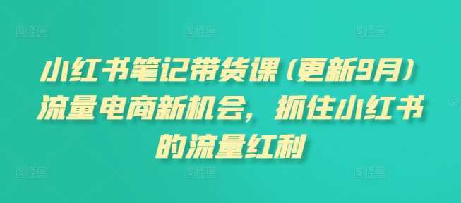 小红书笔记带货课(更新12月)流量电商新机会，抓住小红书的流量红利-虫2小屋