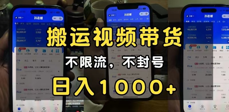 小白必看搬运视频带货玩法，不限流，不封号，纯自然流，日入1000+-虫2小屋