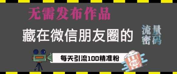 藏在微信朋友圈的流量密码，无需发布作品，单日引流100+精准创业粉【揭秘】-虫2小屋