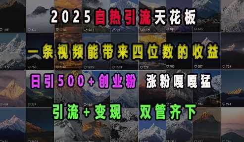 2025自热引流天花板，一条视频能带来四位数的收益，引流+变现双管齐下，日引500+创业粉，涨粉嘎嘎猛-虫2小屋