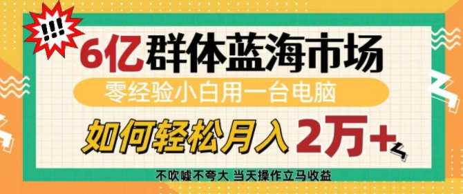 6亿群体蓝海市场，零经验小白用一台电脑，如何轻松月入过w【揭秘】-虫2小屋