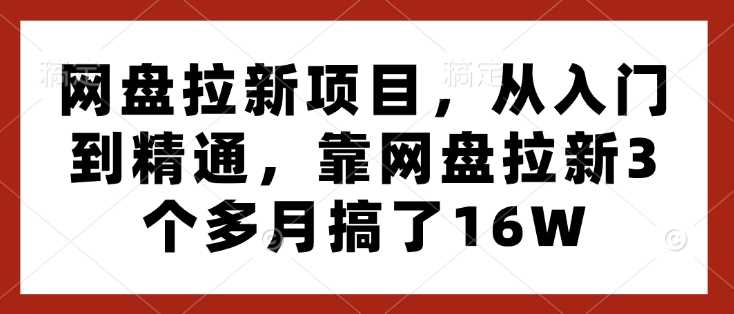 网盘拉新项目，从入门到精通，靠网盘拉新3个多月搞了16W-虫2小屋