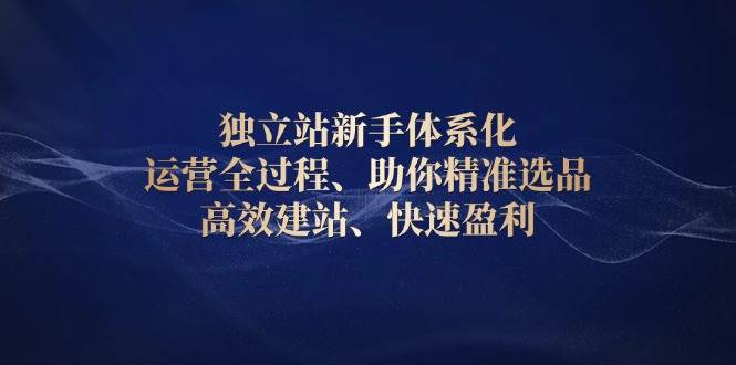 （13914期）独立站新手体系化 运营全过程，助你精准选品、高效建站、快速盈利-虫2小屋