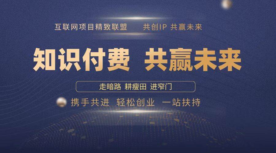 （13944期）2025年 如何通过 “知识付费” 卖项目月入十万、年入百万，布局2025与…-虫2小屋