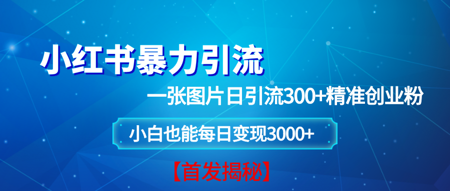 （13935期）小红书暴力引流法，一张图片日引 300+精准创业粉，每日稳定变现 3000+【揭秘】-虫2小屋