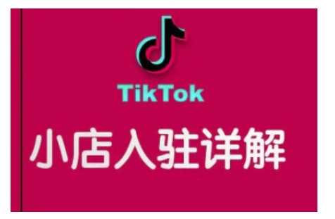 TikTok跨境小店运营全攻略，帮助你独立运营TK跨境小店的能力，实现销量增长-虫2小屋