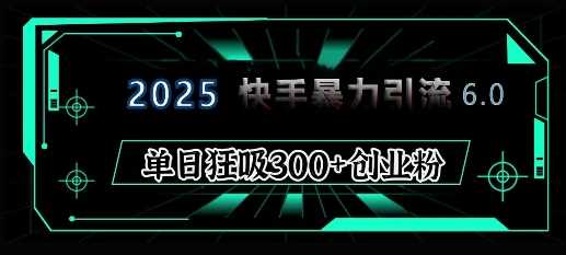 2025年快手6.0保姆级教程震撼来袭，单日狂吸300+精准创业粉-虫2小屋