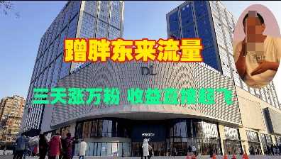 蹭胖东来流量，三天涨万粉，收益直接起飞-虫2小屋