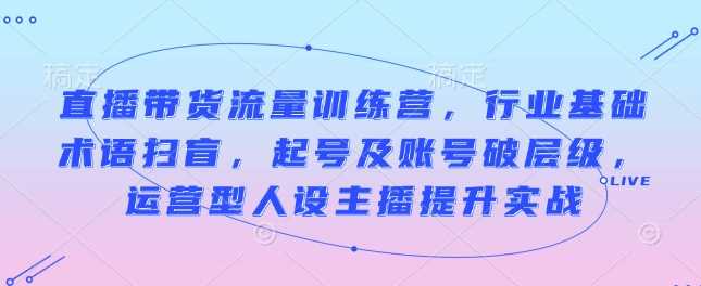 直播带货流量训练营，行业基础术语扫盲，起号及账号破层级，运营型人设主播提升实战-虫2小屋
