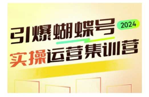 引爆蝴蝶号实操运营，助力你深度掌握蝴蝶号运营，实现高效实操，开启流量变现之路-虫2小屋