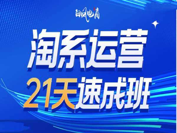 淘系运营21天速成班35期，年前最后一波和2025方向-虫2小屋