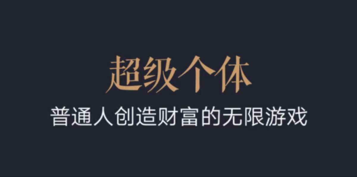 超级个体：2024-2025翻盘指南，普通人创造财富的无限游戏-虫2小屋