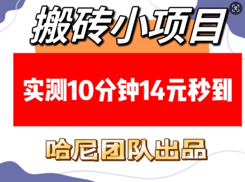 搬砖小项目，实测10分钟14元秒到，每天稳定几张(赠送必看稳定)-虫2小屋