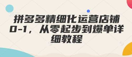 拼多多精细化运营店铺0-1，从零起步到爆单详细教程-虫2小屋
