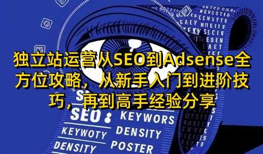 独立站运营从SEO到Adsense全方位攻略，从新手入门到进阶技巧，再到高手经验分享-虫2小屋