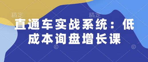 直通车实战系统：低成本询盘增长课，让个人通过技能实现升职加薪，让企业低成本获客，订单源源不断-虫2站点