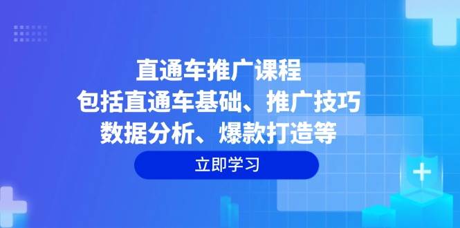 （14001期）直通车推广课程：包括直通车基础、推广技巧、数据分析、爆款打造等-虫2站点