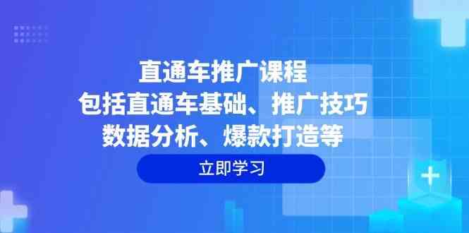 直通车推广课程：包括直通车基础、推广技巧、数据分析、爆款打造等-虫2站点