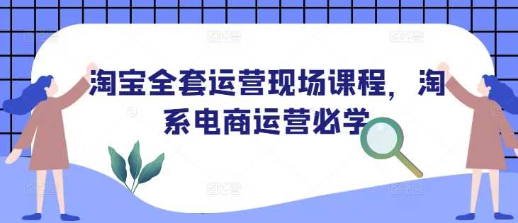 淘宝全套运营现场课程，淘系电商运营必学-虫2站点