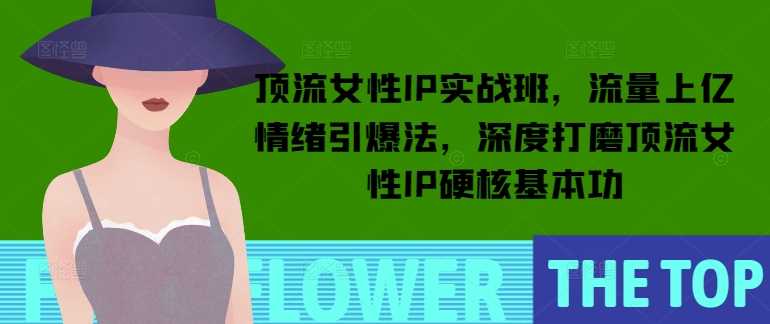 顶流女性IP实战班，流量上亿情绪引爆法，深度打磨顶流女性IP硬核基本功-虫2小屋